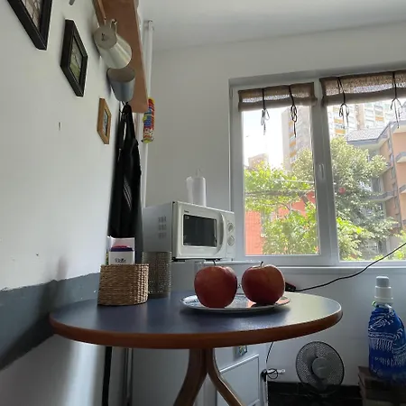 Modern Flat Near Downtown Apartment Plovdiv