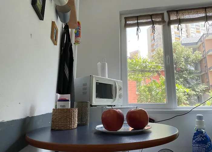 Modern Flat Near Downtown דירה פלובדיב